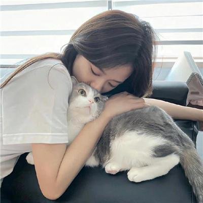 痴情快婿